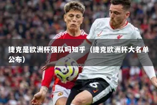 捷克是欧洲杯强队吗知乎(捷克欧洲杯大名单公布)