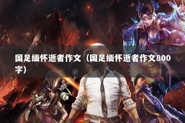 国足缅怀逝者作文(国足缅怀逝者作文800字)