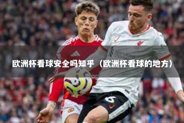 欧洲杯看球安全吗知乎(欧洲杯看球的地方)