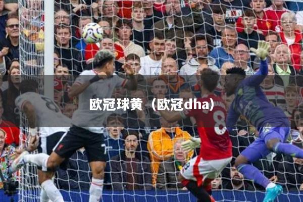 欧冠球黄(欧冠dha)