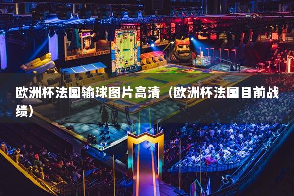 欧洲杯法国输球图片高清(欧洲杯法国目前战绩)