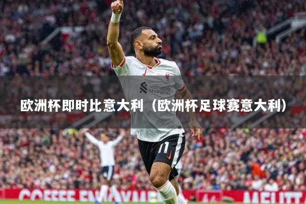 欧洲杯即时比意大利(欧洲杯足球赛意大利)