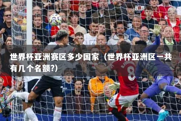 世界杯亚洲赛区多少国家(世界杯亚洲区一共有几个名额?)