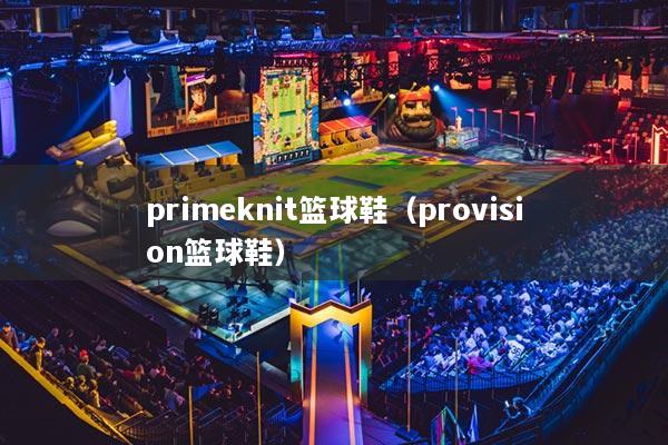 primeknit篮球鞋(provision篮球鞋)