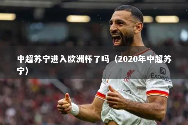 中超苏宁进入欧洲杯了吗(2020年中超苏宁)