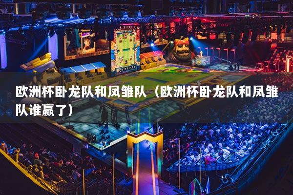 欧洲杯卧龙队和凤雏队(欧洲杯卧龙队和凤雏队谁赢了)