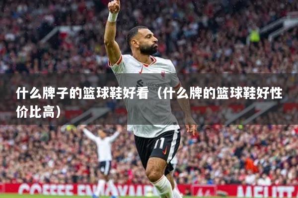 什么牌子的篮球鞋好看(什么牌的篮球鞋好性价比高)