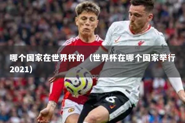 哪个国家在世界杯的(世界杯在哪个国家举行2021)