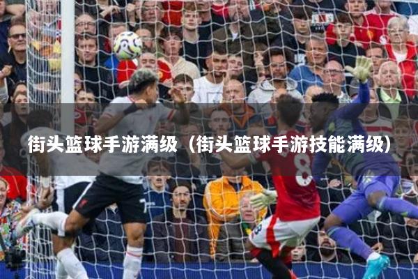 街头篮球手游满级(街头篮球手游技能满级)