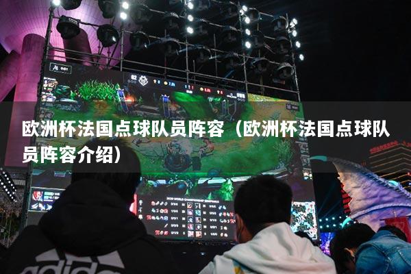 欧洲杯法国点球队员阵容(欧洲杯法国点球队员阵容介绍)