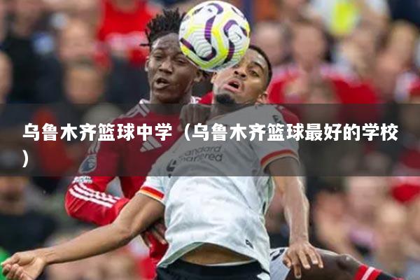 乌鲁木齐篮球中学(乌鲁木齐篮球最好的学校)