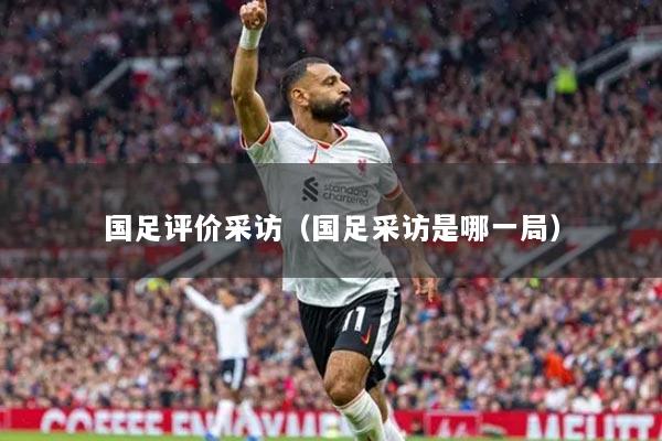 国足评价采访（国足采访是哪一局）