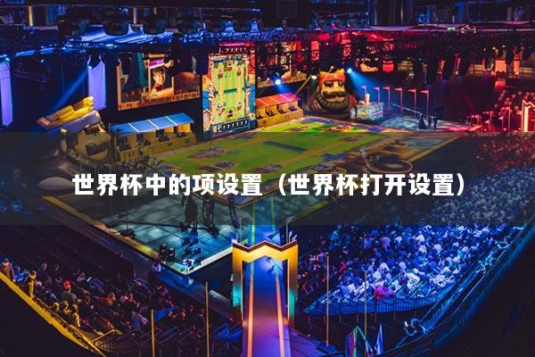 世界杯中的项设置(世界杯打开设置)