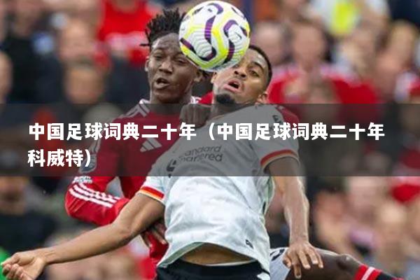 中国足球词典二十年（中国足球词典二十年 科威特）