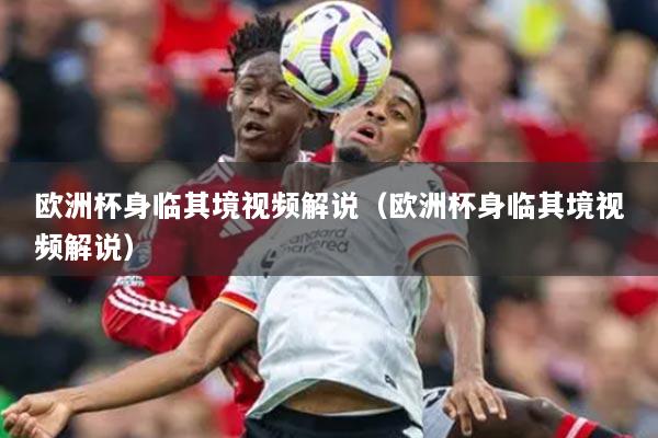 欧洲杯身临其境视频解说(欧洲杯身临其境视频解说)