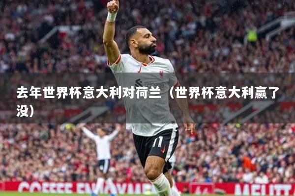 去年世界杯意大利对荷兰(世界杯意大利赢了没)