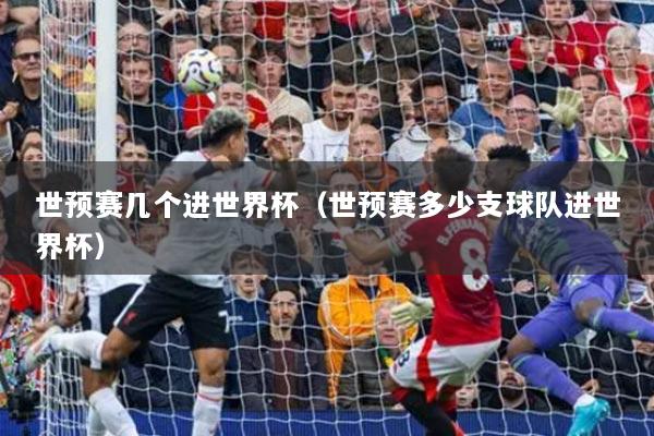 世预赛几个进世界杯(世预赛多少支球队进世界杯)